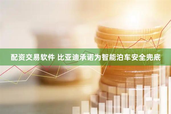 配资交易软件 比亚迪承诺为智能泊车安全兜底