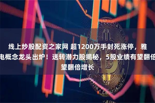 线上炒股配资之家网 超1200万手封死涨停，雅江水电概念龙头出炉！送转潜力股揭秘，5股业绩有望翻倍增长