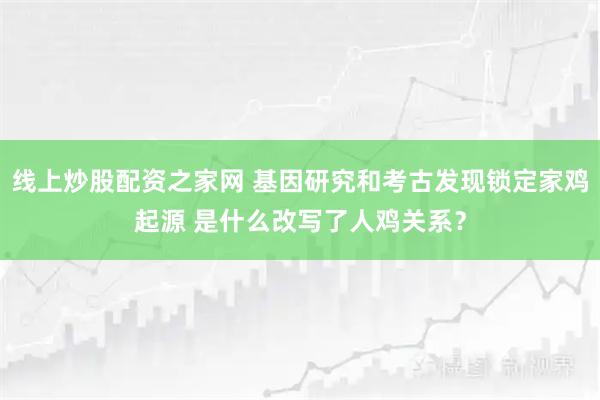 线上炒股配资之家网 基因研究和考古发现锁定家鸡起源 是什么改写了人鸡关系？