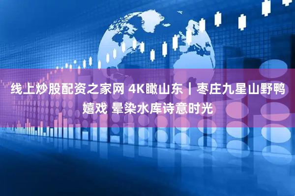 线上炒股配资之家网 4K瞰山东｜枣庄九星山野鸭嬉戏 晕染水库诗意时光