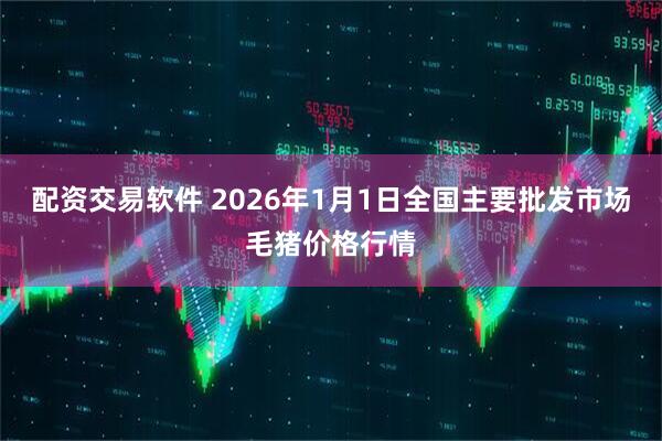 配资交易软件 2026年1月1日全国主要批发市场毛猪价格行情